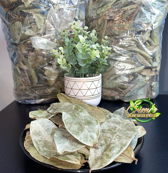 Soursop Leaves